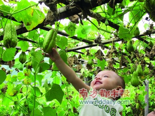 凱景酒店推特惠超值中秋團(tuán)圓宴