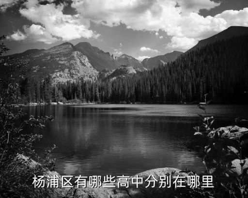 楊浦區(qū)有哪些高中分別在哪里