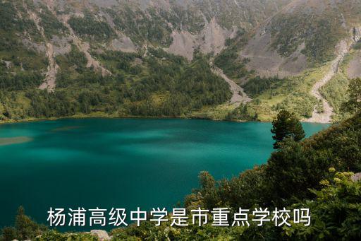 楊浦高級中學(xué)是市重點(diǎn)學(xué)校嗎