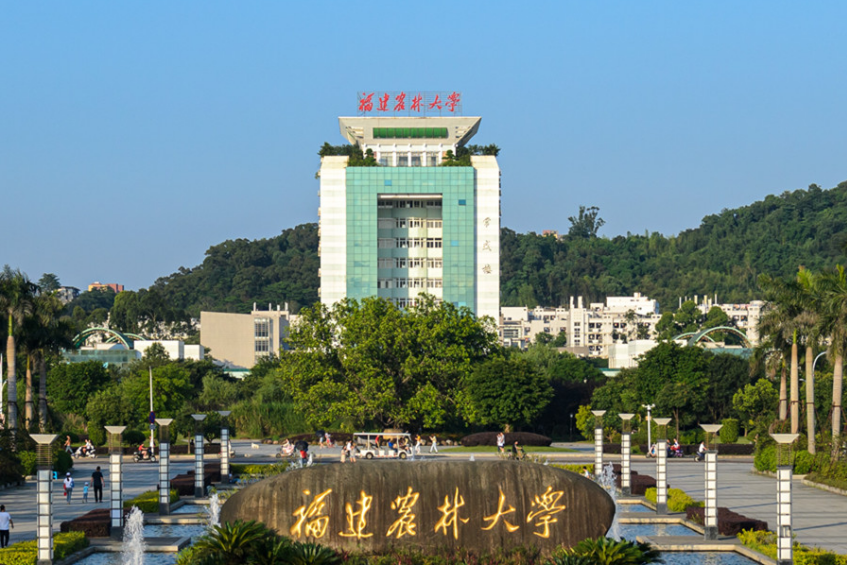 文物博物館專業(yè)大學(xué)排名_文物類博物館_文物與博物館學(xué)冷門嗎