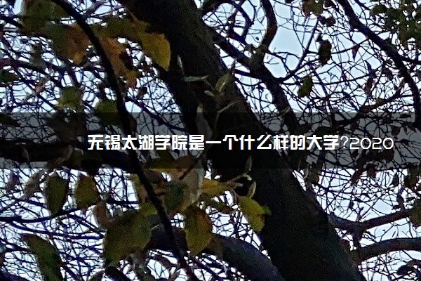 無錫太湖學(xué)院官網(wǎng)_無錫太湖學(xué)院好不好_無錫太湖學(xué)院知乎