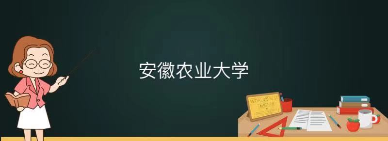 安徽二本文科大學有哪些學校_安徽文達學院是二本么_安徽二本院校文科排名